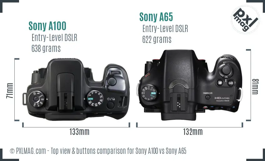 Sony A100 vs Sony A65 top view buttons comparison