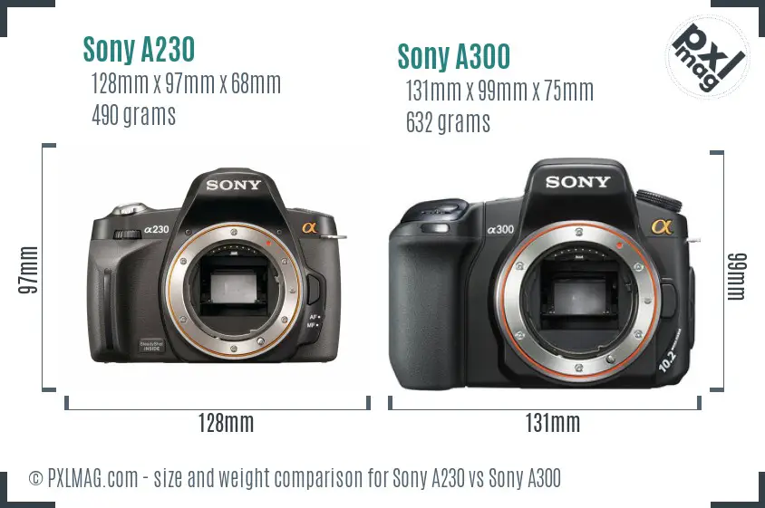 bijgeloof uitzetten Bourgeon Sony A230 vs Sony A300 Full Comparison - PXLMAG.com
