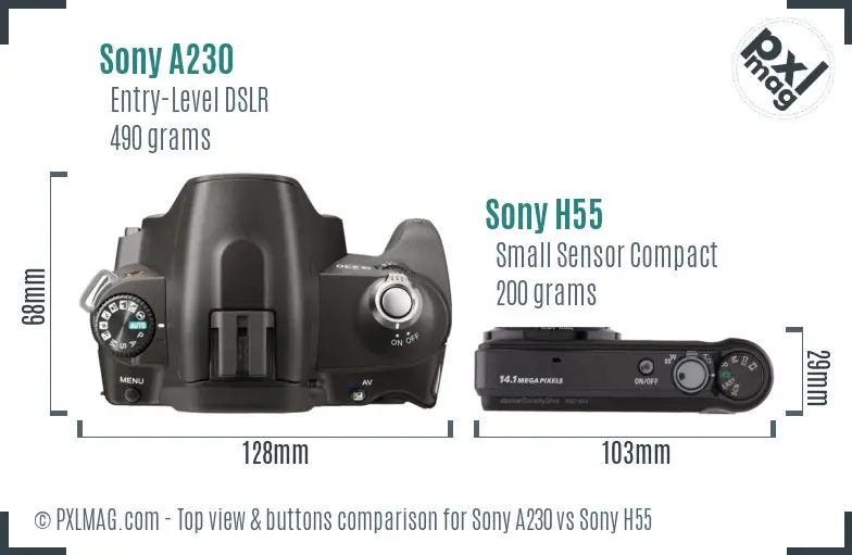 Sony A230 vs Sony H55 top view buttons comparison