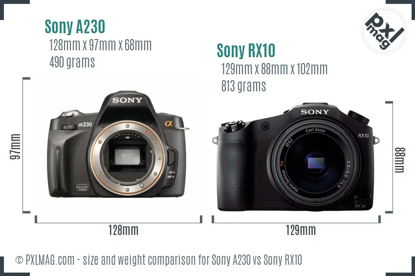 Sony A230 vs Sony RX10 size comparison