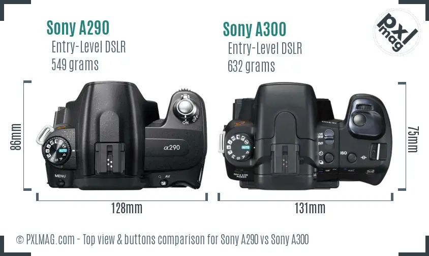 Sony A290 vs Sony A300 top view buttons comparison