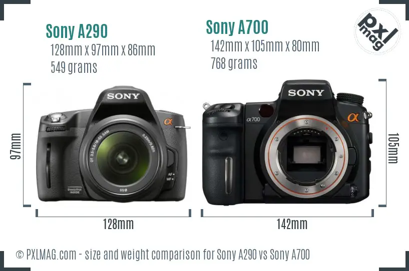 Sony A290 vs Sony A700 size comparison