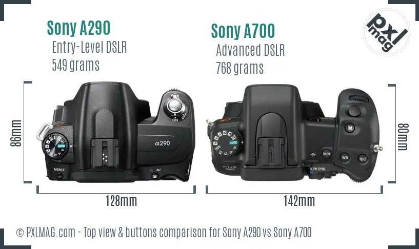 Sony A290 vs Sony A700 top view buttons comparison