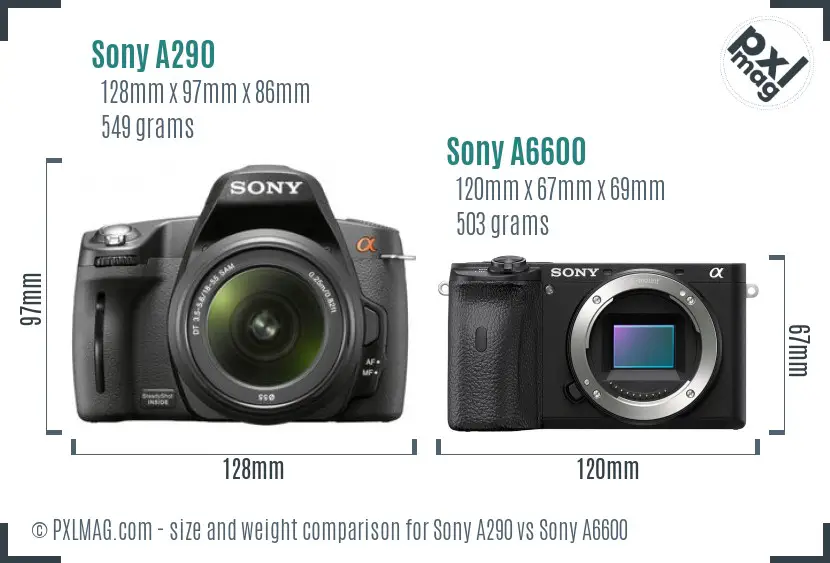 Sony A290 vs Sony A6600 size comparison