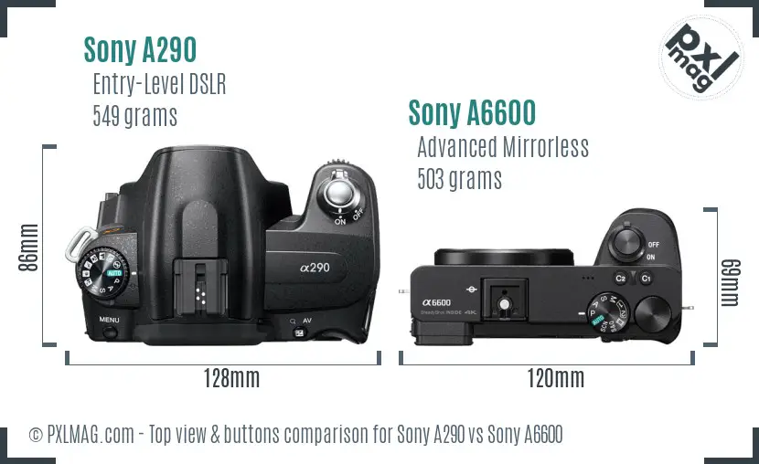 Sony A290 vs Sony A6600 top view buttons comparison