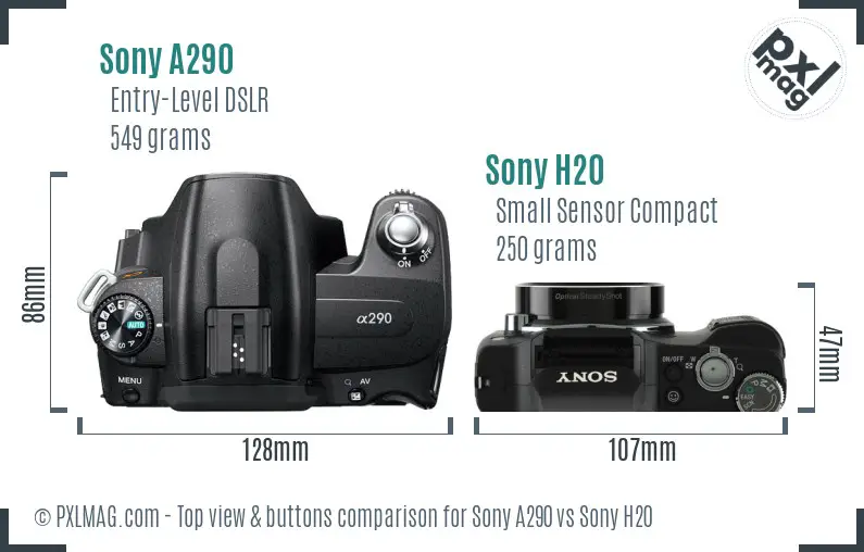 Sony A290 vs Sony H20 top view buttons comparison