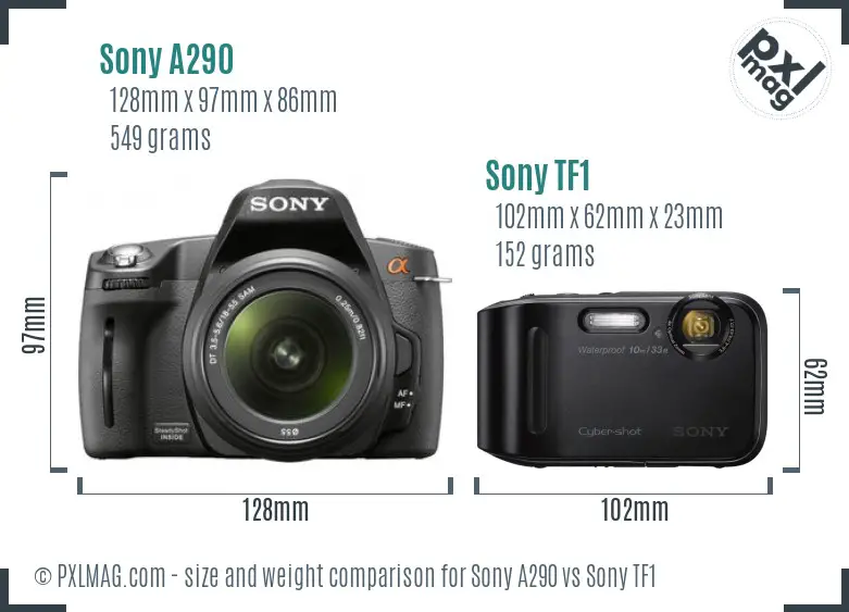 Sony A290 vs Sony TF1 size comparison