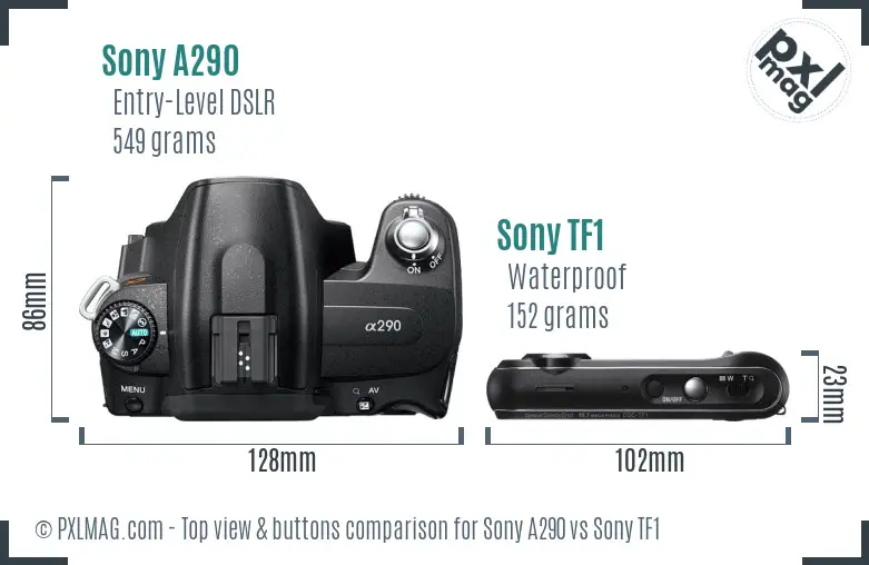 Sony A290 vs Sony TF1 top view buttons comparison