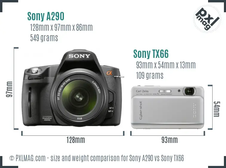 Sony A290 vs Sony TX66 size comparison