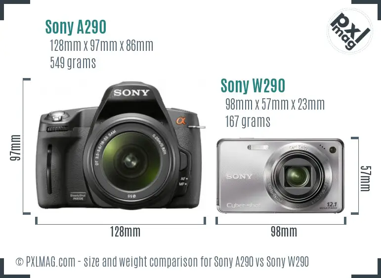 Sony A290 vs Sony W290 size comparison
