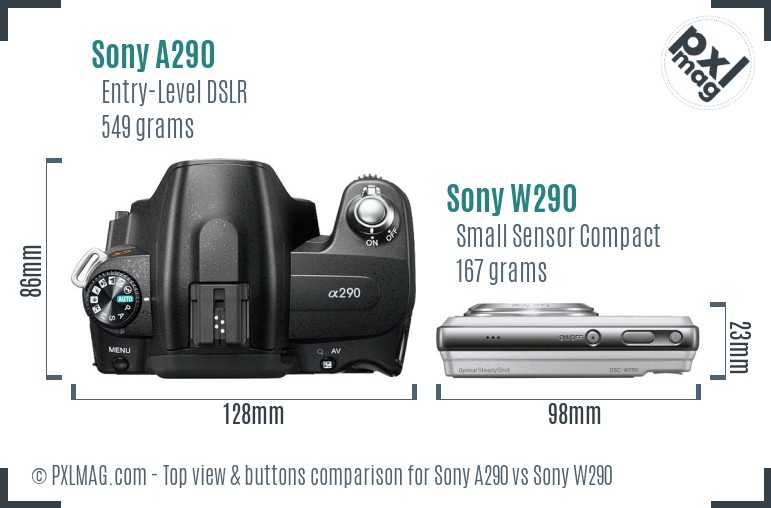Sony A290 vs Sony W290 top view buttons comparison