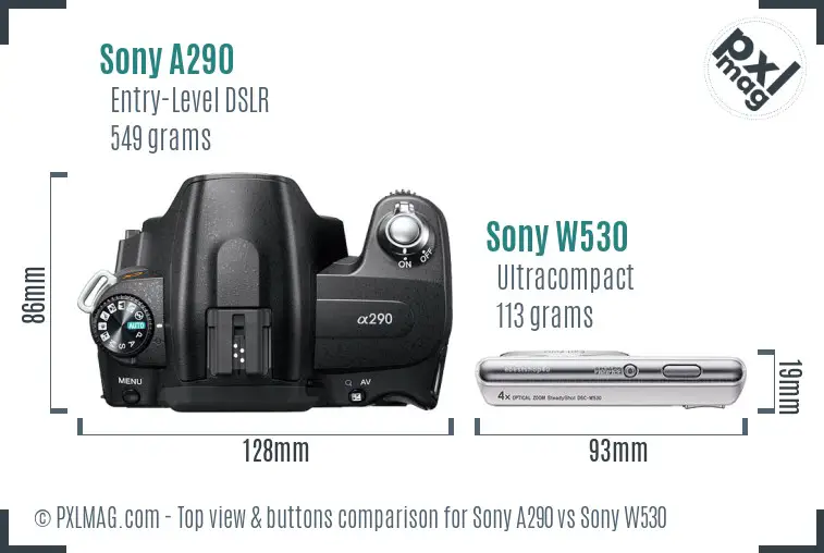 Sony A290 vs Sony W530 top view buttons comparison
