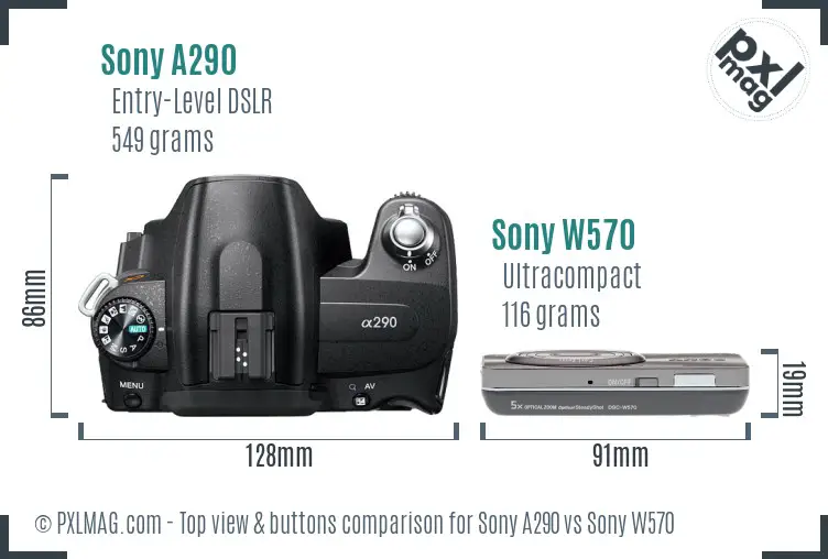 Sony A290 vs Sony W570 top view buttons comparison