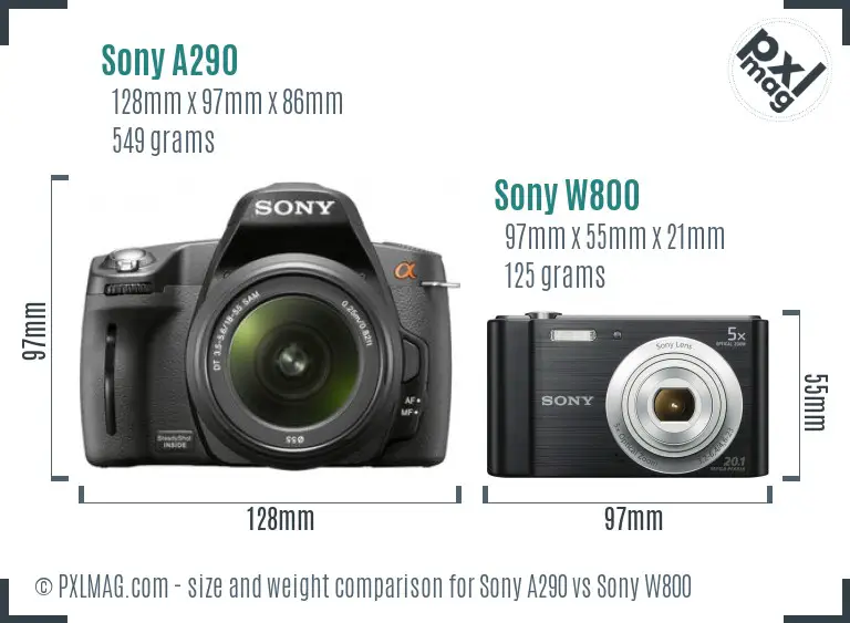 Sony A290 vs Sony W800 size comparison