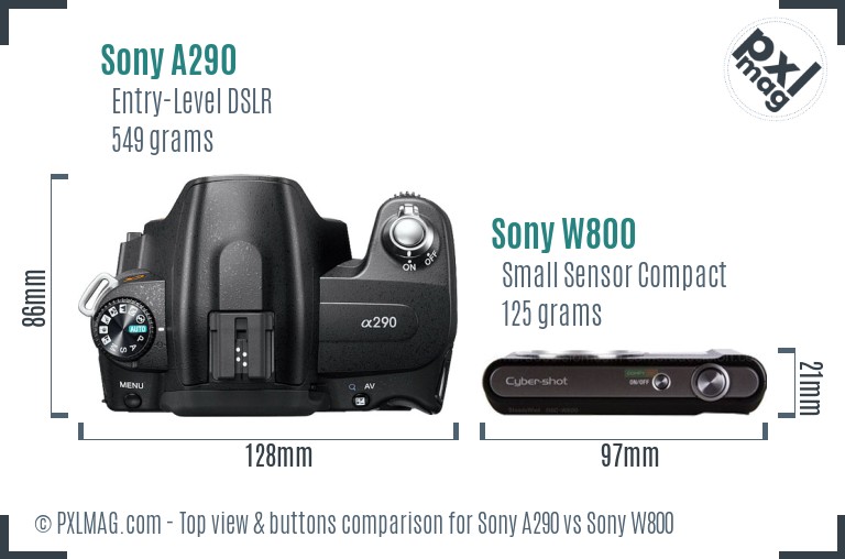 Sony A290 vs Sony W800 top view buttons comparison
