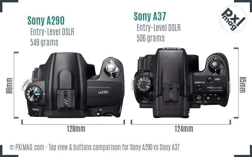 Sony A290 vs Sony A37 top view buttons comparison