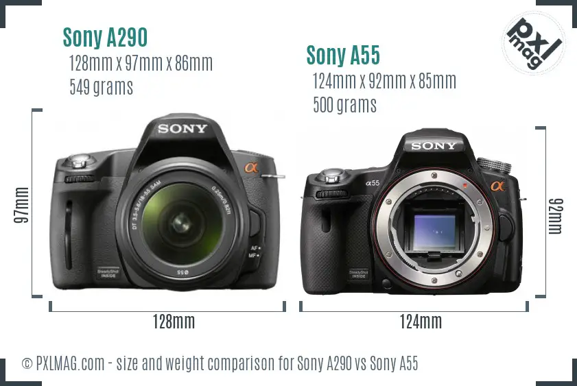 Sony A290 vs Sony A55 size comparison