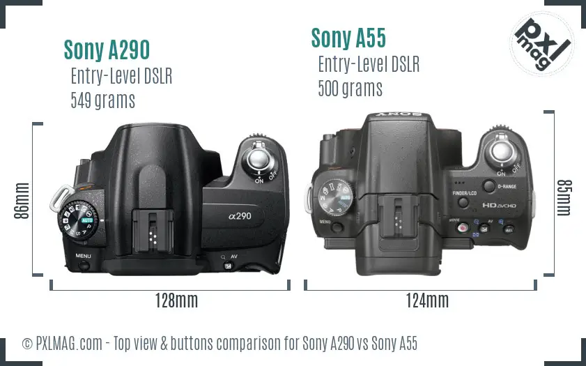 Sony A290 vs Sony A55 top view buttons comparison