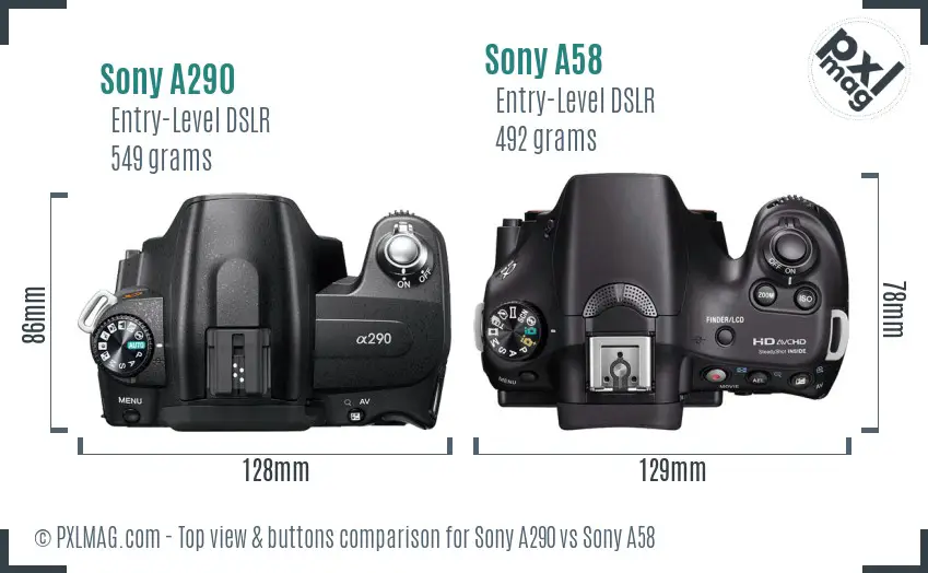 Sony A290 vs Sony A58 top view buttons comparison