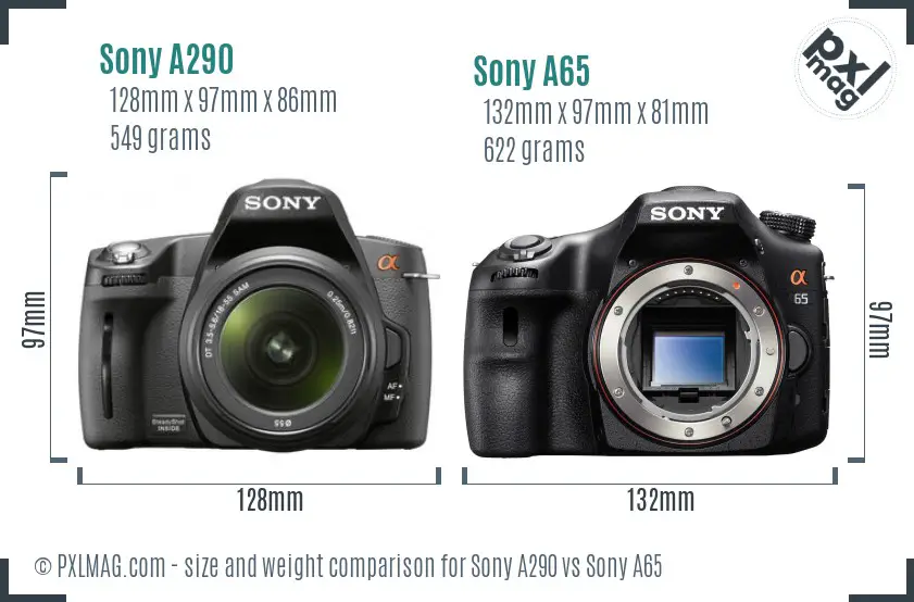 Sony A290 vs Sony A65 size comparison