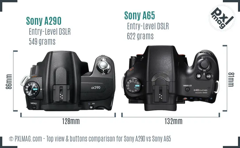 Sony A290 vs Sony A65 top view buttons comparison