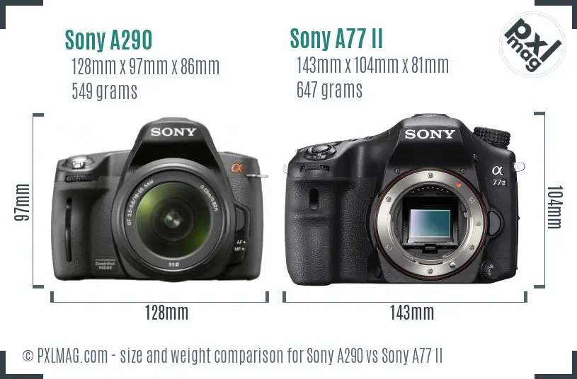Sony A290 vs Sony A77 II size comparison