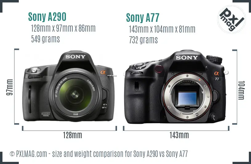 Sony A290 vs Sony A77 size comparison