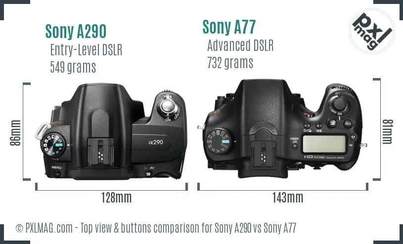 Sony A290 vs Sony A77 top view buttons comparison