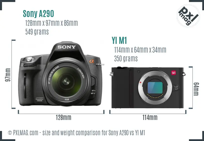 Sony A290 vs YI M1 size comparison