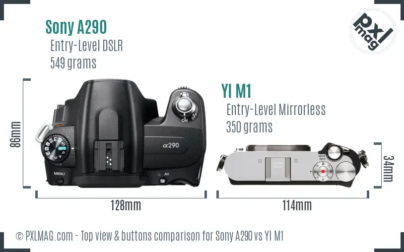 Sony A290 vs YI M1 top view buttons comparison