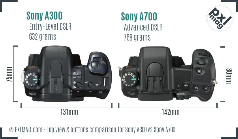 Sony A300 vs Sony A700 top view buttons comparison