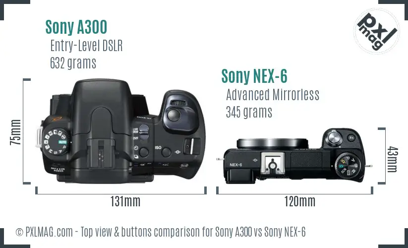 Sony A300 vs Sony NEX-6 top view buttons comparison
