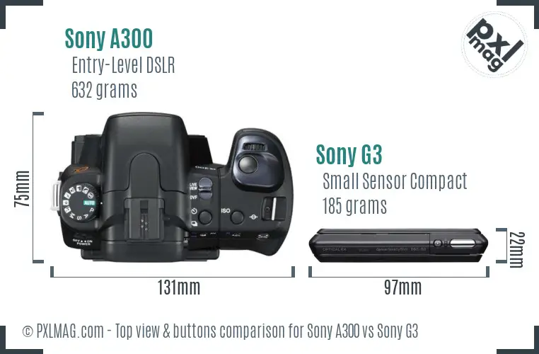Sony A300 vs Sony G3 top view buttons comparison