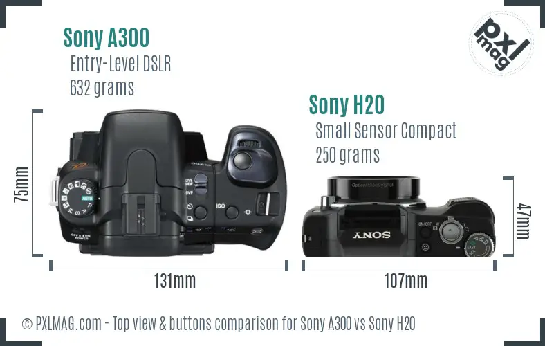 Sony A300 vs Sony H20 top view buttons comparison