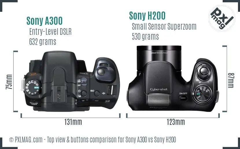 Sony A300 vs Sony H200 top view buttons comparison
