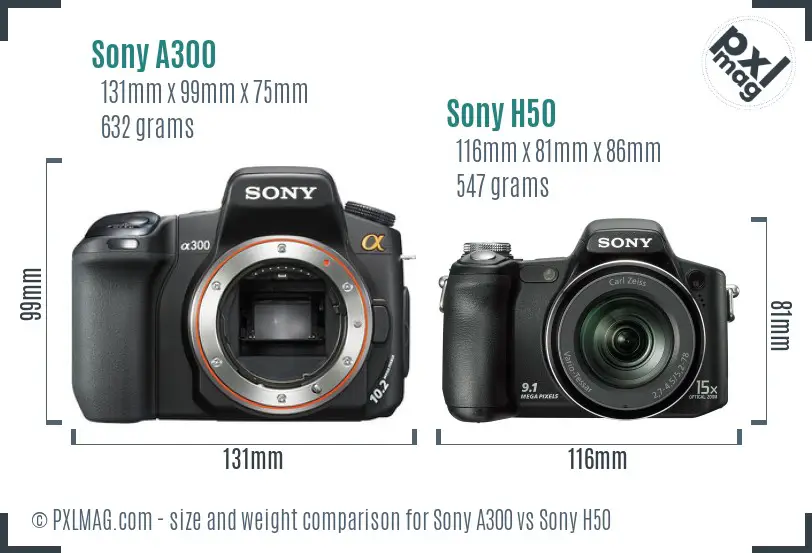 Sony A300 vs Sony H50 size comparison