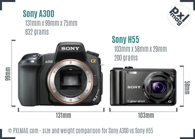 Sony A300 vs Sony H55 size comparison