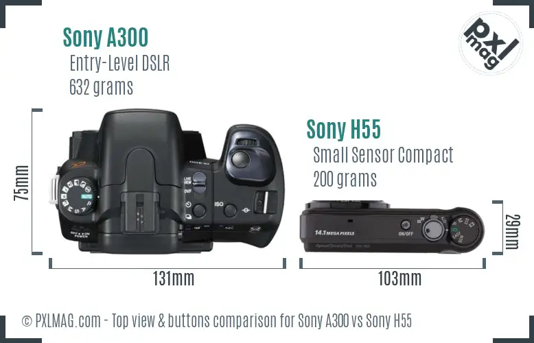 Sony A300 vs Sony H55 top view buttons comparison