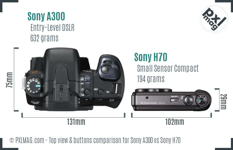 Sony A300 vs Sony H70 top view buttons comparison