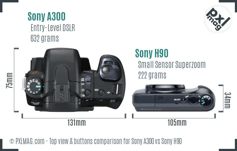 Sony A300 vs Sony H90 top view buttons comparison