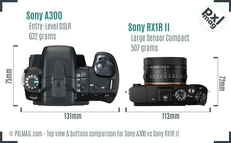 Sony A300 vs Sony RX1R II top view buttons comparison