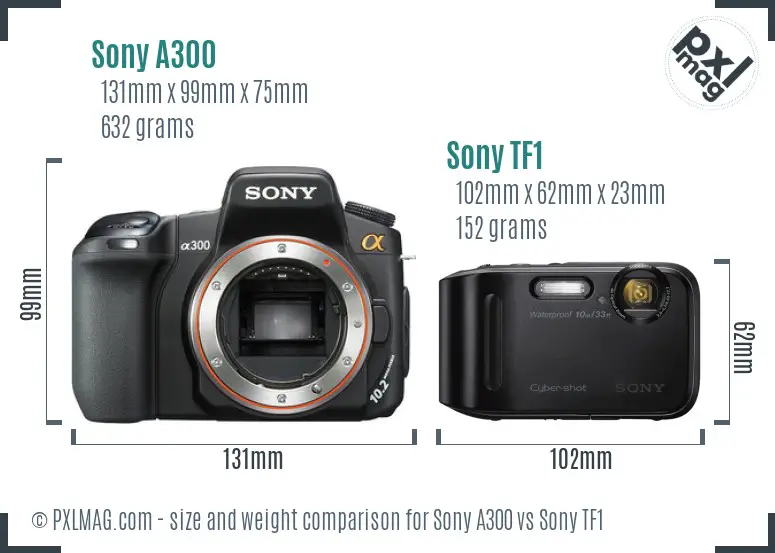 Sony A300 vs Sony TF1 size comparison