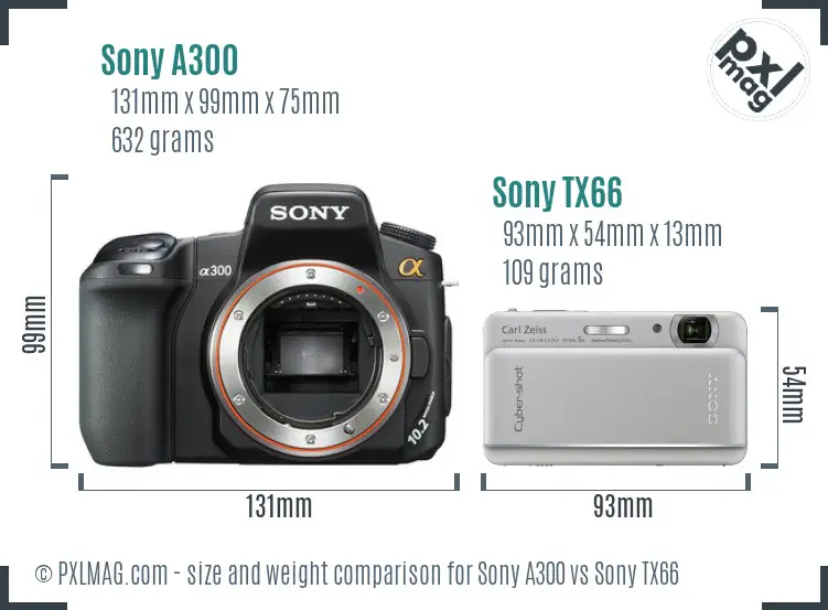 Sony A300 vs Sony TX66 size comparison