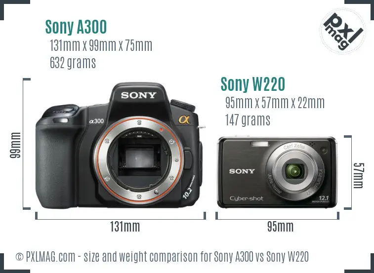 Sony A300 vs Sony W220 size comparison