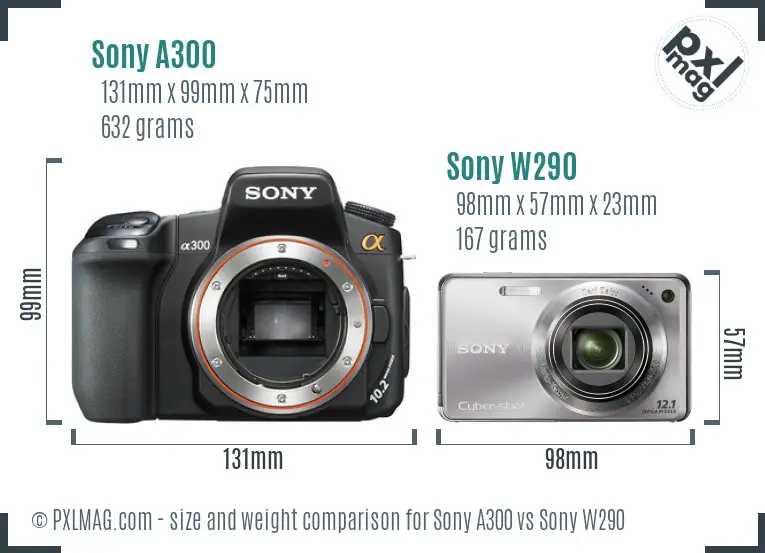 Sony A300 vs Sony W290 size comparison