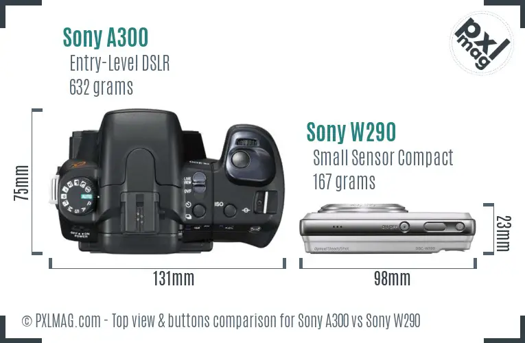 Sony A300 vs Sony W290 top view buttons comparison