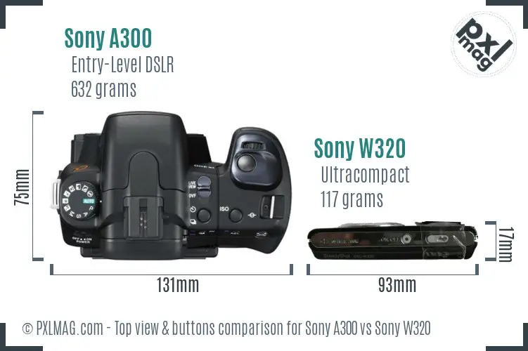 Sony A300 vs Sony W320 top view buttons comparison