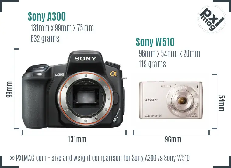Sony A300 vs Sony W510 size comparison