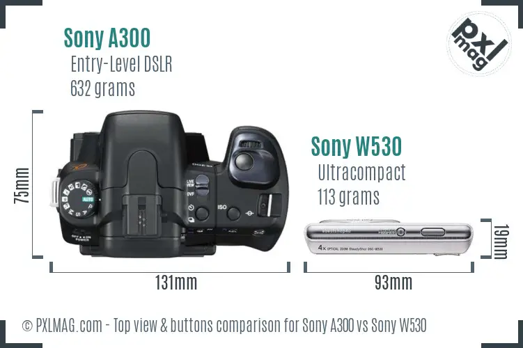 Sony A300 vs Sony W530 top view buttons comparison