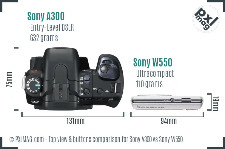 Sony A300 vs Sony W550 top view buttons comparison